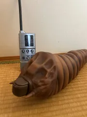 2026年最新】モスラ 東京マルイの人気アイテム - メルカリ