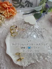 ◆韓国人気SNS◆A6アクリルバインダーset◆ 貯金 saving 家計管理 クリア新品 バインダー貯金 A6アクリルバインダー水流 saving 家計管理 貯金リフィル 貯金バインダー 推し活 リフィル無し 3連蝶々チャーム ブックマーク付き 全7種類