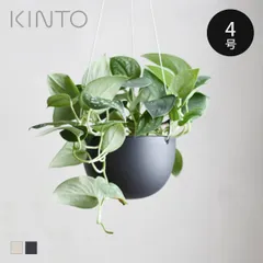 2026年最新】多肉植物ワイヤーハンギングの人気アイテム - メルカリ