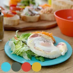 ダルトン プレート 20cm M＆B プラスチック バンブーファイバー （ DULTON 食洗機対応 皿 お皿 パン皿 バンブー素材 軽い 割れにくい アウトドア キャンプ ピクニック 持ち運び カラフル おしゃれ ）)のサムネイル