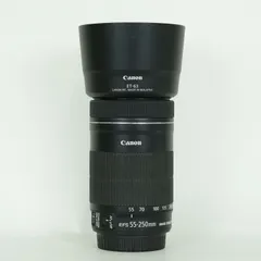 2026年最新】ef-s55-250mm f4-5.6 is stmの人気アイテム - メルカリ