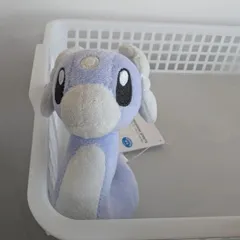 ポケットモンスター　ぬいぐるみ　ミニリュウ　そったすがた