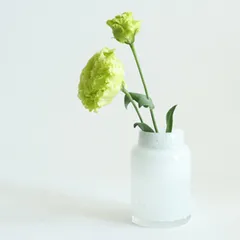 花瓶 DGボトルベース 直径7.5×高さ12cm ホワイト ガラス （ おしゃれ 花器 花びん 一輪挿し フラワーベース 円形 丸 インテリア 生け花 植物 花 ドライフラワー 切花 花束 雑貨 硝子 直径7.5 乳白色 ）)のサムネイル