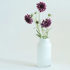 花瓶 DGボトルベース 直径7.5×高さ15.5cm ホワイト ガラス （ おしゃれ 花器 花びん 一輪挿し フラワーベース 円形 丸 インテリア 生け花 植物 花 ドライフラワー 切花 花束 雑貨 硝子 直径7.5 乳白色 ）)のサムネイル