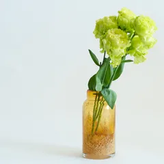 花瓶 DGボトルベース 直径7.5×高さ15.5cm サンシャイン ガラス （ おしゃれ 花器 花びん 一輪挿し フラワーベース 円形 透明 丸 インテリア 生け花 植物 花 ドライフラワー 切花 花束 雑貨 硝子 直径7.5 ）)のサムネイル