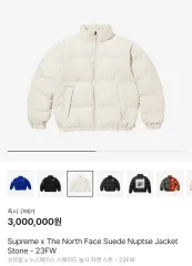 レア) Supreme × THE NORTH FACE スウェード Nuptse ジャケット ストーン