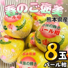 タイムセール！パール柑 レシピ付き 訳あり 8玉 熊本県産 訳あり 春の味覚 文旦系 ぶんたん 柑橘 味は逸品 お買い