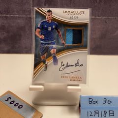 エリック ラメラ Panini Immaculate 直筆サイン 99枚限定 - メルカリ