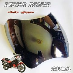 中古 2023年式レブル250 フューエルタンク チタニウムメタリック