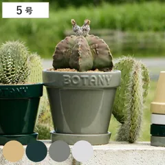 ダルトン 植木鉢 ボタニーポット 5号鉢 ガーデンポット （ DULTON プランター プラントポット 植物用ポット 鉢 花器 鉢カバー ポット セラミック 丸 植木鉢カバー 花 水抜き穴付き 受け皿 植物 観葉植物 園芸 直植え おしゃれ ） )のサムネイル