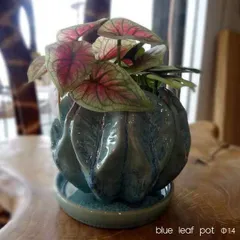 植木鉢 プランター 黒ポット おしゃれ モダン 鉢 陶器 テラコッタ 素焼き ターコイズ ブルー ペルシャブルー ガーデン 庭 おしゃれ プランターポット 植物 ガーデニング ガーデン雑貨 園芸 観葉植物 花