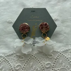 【アレルギー対応】handmade ピアス🦢✨