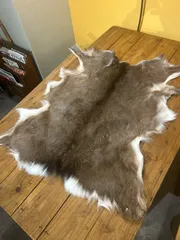 2026年最新】鹿毛皮の人気アイテム - メルカリ