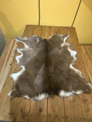 2026年最新】鹿毛皮の人気アイテム - メルカリ