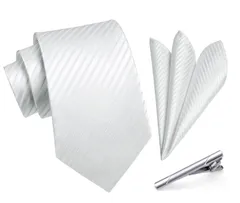 【在庫処分】[HISDERN] A3-01 結婚式 シルバー ネクタイ チーフ タイクリップ 3点セット 幅8.5cm メンズ ブランド ギフト ボックス付き 冠婚葬祭 婚礼用 礼服用 紳士用 新郎 12柄
