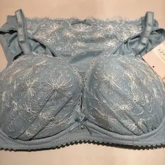 新品  D75  チュチュアンナ tutuカワブラ  上下セット ブラ＆ショーツ  L  キラキラ  刺繍  定価3498円 水色  定価