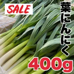【農家直送】高知県特産‼️葉ニンニク 400g 即購入OK mkjp