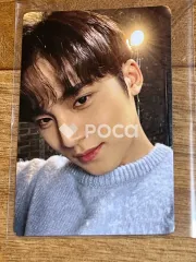 Seventeen ミンギュ セブチ SEVENTEEN POWER OF LOVE : THE MOVIE