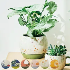 植木鉢 チェリッシュポット 3号用 （ フラワーポット プラントポット プランターポット 鉢 鉢植え 陶器 穴あり 水抜き穴 インテリア 植え替え おしゃれ 観葉植物 多肉植物 サボテン 園芸 3号鉢 受け皿付き ） )