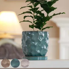 植木鉢 ジェロポット S 受け皿付き （ フラワーポット プラントポット プランターポット 鉢 鉢植え 陶器 陶器製 インテリア 植え替え おしゃれ 観葉植物 多肉植物 サボテン 園芸 受け皿 水抜き穴 ナチュラル ） )