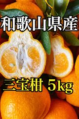 幻のみかん 紀州大坊みかん 3kg みかんキング 幻のみかん 紀州大坊みかん 秀品 3kg みかんキング - メルカリ