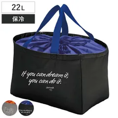 エコバッグ レジカゴinバッグ レジカゴ対応 （ 保冷 マチ付き レジカゴ 大容量 買い物カゴごと入る バッグ かばん 鞄 買い物バッグ 買い物かご レジカゴ型 クーラートートバッグ クーラーバッグ マイかごバッグ ） )