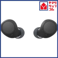 ソニー ワイヤレス イヤホン 左右分離 IPX4 最大22時間 USB-C WF-C510 WFC510 BZ ブラック系
