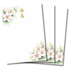 命名書 夏の輝き 百合(ゆり) 花柄  和風 自分で手書き 台紙のみ 3枚セット  A4  練習用紙つき