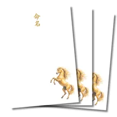 命名書 干支 午年 跳ね馬 煌めき 令和8年生まれ 開運 吉祥 花柄  自分で手書き 台紙のみ 3枚セット  A4  練習用紙つき