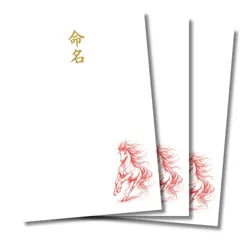 命名書 干支 午年 躍動する馬 開運 吉祥 令和8年生まれ 赤  和風 自分で手書き 台紙のみ 3枚セット  A4  練習用紙つき