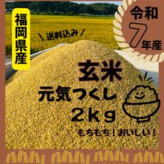 期間限定値下げ‼️令和7年産農家直送 岩手県産ひとめぼれ 玄米2キロ