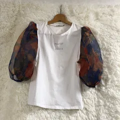 美品　ZARA　ザラ　Tシャツ　Sサイズ　POETIC　QUOTE　フラワーデザイン　バルーンシースルー袖　コットン　オーガンジー素材