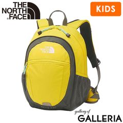 新品 未使用 廃盤 ノースフェイス スモールデイ ハニーサックル 15L 