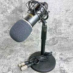 テイチクFOR VOCAL: ボーカル用ダイナミックマイク、スタンド一式
