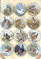 野鳥絵皿 フランス リモージュ フランクリンポーセリン 12枚 - メルカリ