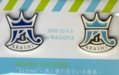嵐 10-11年 scene 君と僕の見ている風景 ピンバッジ 【名古屋/青】