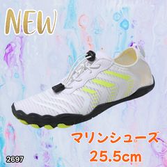 Item thumbnail for item 95b484a6-ded7-4d43-8f7b-bbcf06ce45f5