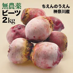 【農家直送】新鮮ビーツ ２kg【農薬不使用】【神奈川県産】
