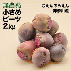 種芋】ドラゴンレッド じゃがいも種芋20個 レアな赤皮赤身！ホクホク
