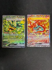 オーガポンみどりのめんex かまどのめん　sar セット