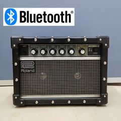 ROLAND DC30 analog chorus echo vintage - メルカリ