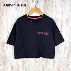 【確認】美品  Calvin Klein カルバンクライン ワンポイントロゴ バックスリット クロップド Tシャツ ブラック レディース 半袖 トップス y2k 平成ギャル