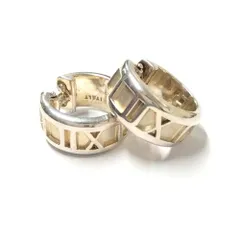 2026年最新】tiffany ピアス アトラスの人気アイテム - メルカリ