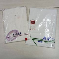 Item thumbnail for item 89208fc8-3b4c-4fd3-aa41-52f3afb5057b