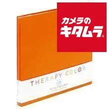 【新品】ナカバヤシ TCAF-DF/N-RO セラピーカラーデミ