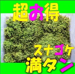 2026年最新】スナゴケの人気アイテム - メルカリ