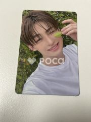 STAYC シウン Teddy Bear Wonderwall ラキドロ - メルカリ