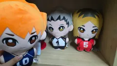 ハイキュー ぬいぐるみセット (日向/孤爪 研磨/Daichi)