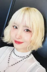 【中古】コレクションカード(女性) MISAMO(TWICE)/モモ(MOMO)/DVD・Blu-ray「MISAMO JAPAN DOME TOUR 2024 “HAUTE COUTURE“」初回限定盤(WPBL-90672/3・WPXL-90337)封入特