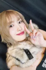 【中古】コレクションカード(女性) MISAMO(TWICE)/モモ(MOMO)/DVD・Blu-ray「MISAMO JAPAN DOME TOUR 2024 “HAUTE COUTURE“」初回限定盤(WPBL-90672/3・WPXL-90337)封入特